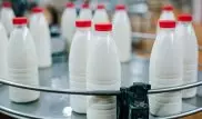 Казахстану грозит молочный кризис - СМИ