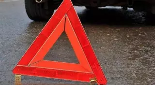 Трое малолетних детей пострадали в ДТП с лошадьми в Павлодарской области