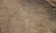 Ученые обнаружили гигантские рисунки "монстров" на плато Наска