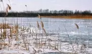 Мужчина провалился под лед на реке Есиль