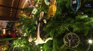 В Испании установили самую дорогую в мире елку за 14 миллионов евро