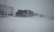 Грузовики застряли в нулевую видимость на трассе в Павлодарской области