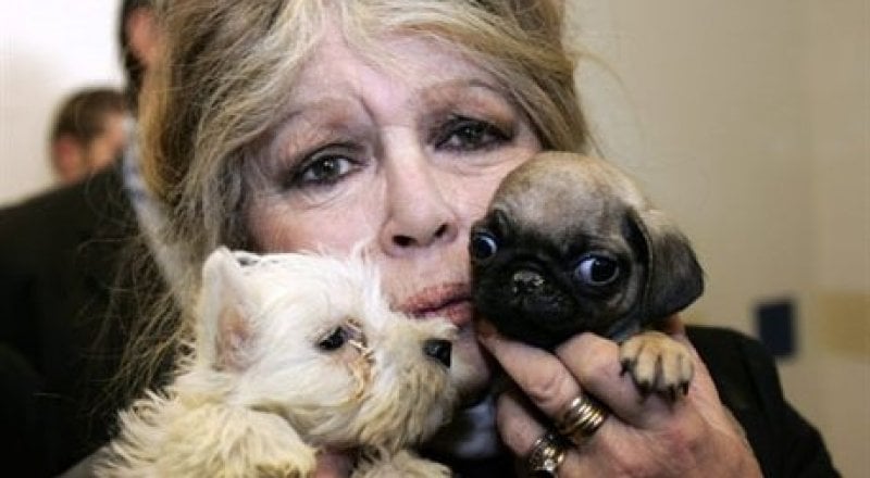 Brigitte Anne-Marie Bardot. Фото AFP©