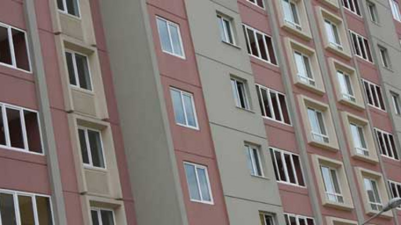 Фото Владимир Дмитриев©