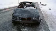 ФОТО: В Северном Казахстане водитель BMW врезался в табун лошадей