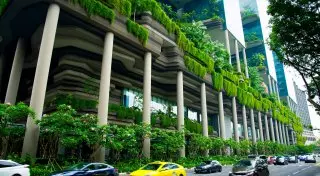 7 потрясающих эко-отелей мира