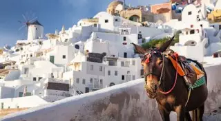 Необычные правила и запреты для туристов в разных странах