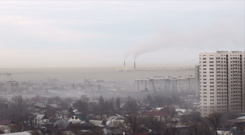 Фото: Леонид Рассказов