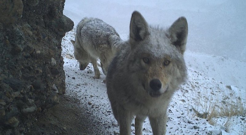 Иллюстративное фото