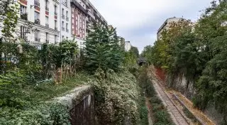 "Ощущение, что вот-вот за спиной появится поезд". Самые интересные заброшенные железные дороги