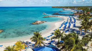 Для поездки на Багамы ищут волонтеров