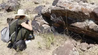 Ололо порно