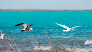 "Великан с разбегу прыгнул в озеро". 10 фактов о Балхаше, которые вы могли не знать