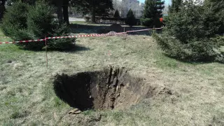 Жители Усть-Каменогорска выступили против пересадки елей в центре города