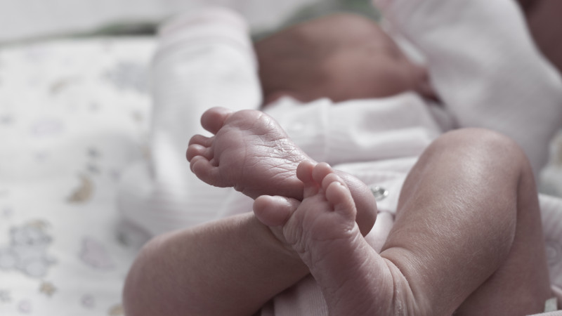 Иллюстративное фото: elements.envato.com