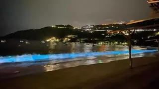 Впервые за 60 лет пляжи Акапулько засияли неоново-синим цветом из-за планктона