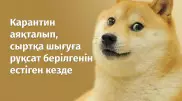 "11 мамырға дейін үлгереміз". Карантин режимінің аяқталуына байланысты әзілдер