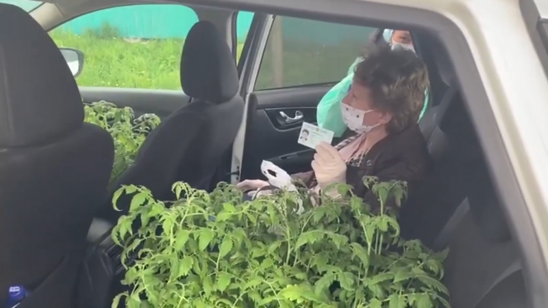 Кадр из видео