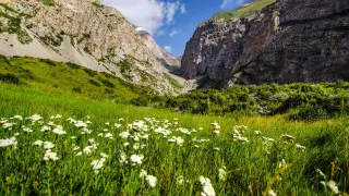 Место, где в страхе окаменели 40 красавиц. Чем интересен Сайрам-Угамский национальный парк