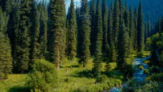 Презентован план развития эко-туризма в Иле-Алатауском нацпарке