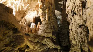 Выставка пещерных амфибий и горы мусора. Как мир открывается для туристов