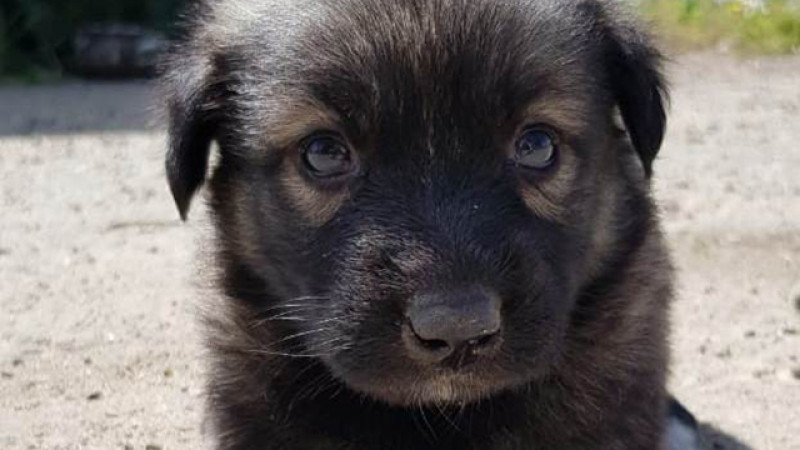 Иллюстративное фото