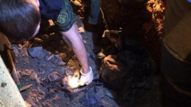 Фото: astr.sledcom.ru