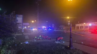 Два человека погибли, 12 ранены в результате стрельбы и наезда авто в США - СМИ