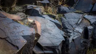 Солнечный всадник на мамонте. Самые интересные петроглифы Казахстана