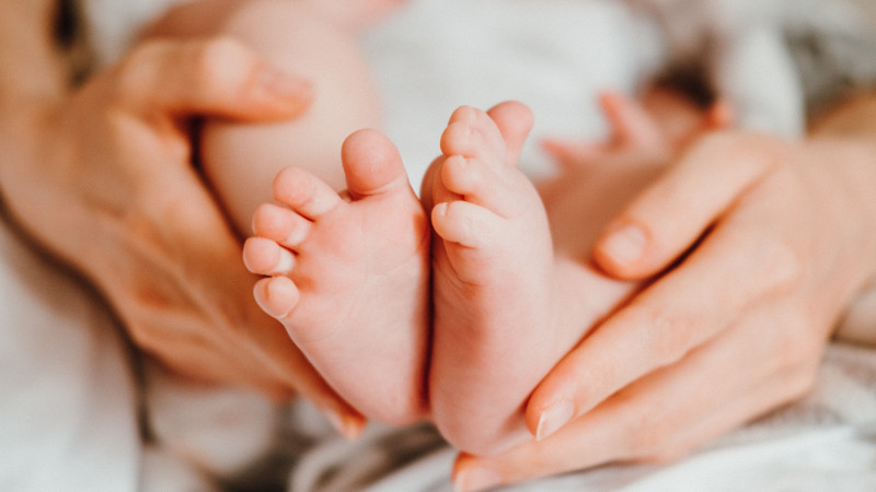 Фото:elements.envato.com