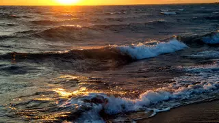 На Балхаше запретили загорать