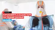 "Дамумед", лекарства и коронавирус: Пресс-конференция Минздрава
