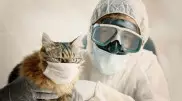 Кошку с подтвердившимся COVID-19 изолировали в Тюмени