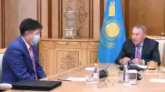 Назарбаев принял председателя Верховного суда