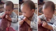 Видео с ребенком, поедающим сырое мясо, обсуждает Казнет