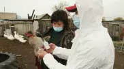 Карантин объявили в Костанайской области из-за птичьего гриппа