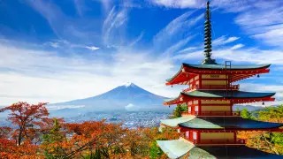 Япония открывает границы для путешественников - СМИ