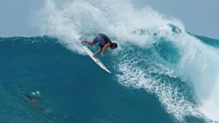 "Был в шоке от видео". Оператор дрона спас серфера от акулы