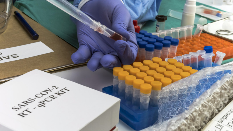 Фото:elements.envato.com