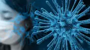 В геноме коронавируса нашли загадочный скрытый ген