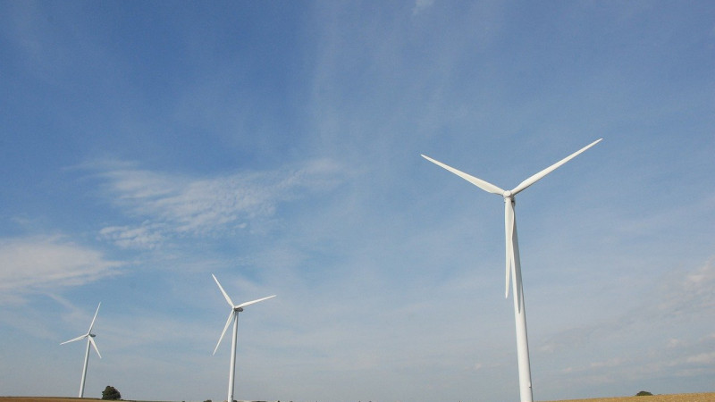 Иллюстративное фото pixabay