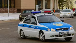 Полиция нашла рыбаков, протаранивших диких уток на Каспии
