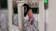 Женщина застряла, перелезая через забор, и замерзла насмерть в Башкирии