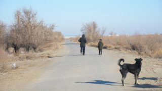 До ближайшей остановки 3 километра. Фото: Иван Сухоруков