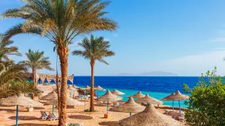 На курортах Египта запретили новогодние вечеринки