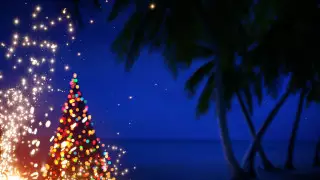 Казахстанцы встретят Новый год у плавающей в океане елки