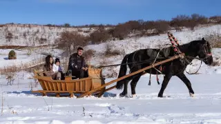 Весело и экологично: на каких базах можно отдохнуть на Новый год