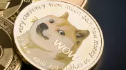 Илон Маск обвалил стоимость криптовалюты Dogecoin