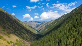 Новый горнолыжный курорт планируют построить близ Алматы