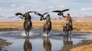 Иллюстративное фото©Shutterstock